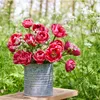 20er-Set Tulipa Double Pink, Tulpenzwiebeln, Wuchshöhe Produktbild-Vorschau 5
