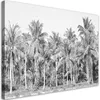 Leinwandbild Schwarze und weiße Palmen im Dschungel 120x80 Produktbild-Vorschau 1