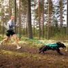 Non-stop dogwear BUNGEE Leash Aqua 2m | 353AQ Produktbild-Vorschau 4