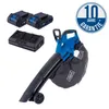 A cordless leaf blower with two batteries and a charger, along with a 10-year warranty badge. Produktbild-Vorschau