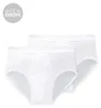 Schiesser Herren-Slip Baumwolle Essentials" 2er-Pack weiß Produktbild-Vorschau 5