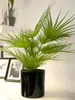 Europalms Fächerpalme Kunstpflanze 55cm 82509401 Náhled obrázku produktu 5