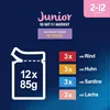 FELIX So gut wie es aussieht Junior Katzennassfutter, Produktbild-Vorschau 5