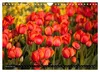 Tulpen (Wandkalender 2027 DIN A4 quer), CALVENDO Produktbild-Vorschau 14
