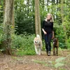 lionto Laisse multifonctions, laisse pour chiens réglable Voir les images du produit 5