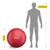 4FIZJO Gymnastikball Reh Ball, aufblasbar, Reha, Pilates, Produktbild-Vorschau 3