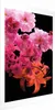 Posterpapier Poster - Spring Saturation 60x90 cm Blumen Produktbild-Vorschau 1