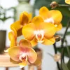 Sada oranžových orchidejí Kolibri Orchids v bavlněném Náhled obrázku produktu 9