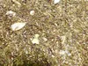 Marzipan Grüner Rooibos Tee Naturideen® 100g Produktbild-Vorschau 1