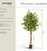 Umělý fíkus Fida, realistická textura - 180 cm Náhled obrázku produktu 7