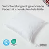 A white pillow is shown on a white background with various certification logos and text overlays. Produktbild-Vorschau