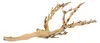 Substrato per terrari Exo Terra Tropical Forest Moss 7l 2 Anteprima dell’immagine prodotto 2
