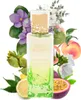 Mojito Obsession von Gulf Orchid 100 ml Podgląd zdjęcia produktu 8