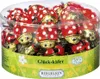 Riegelein FTCO Glückskäfer 45x6,25g Produktbild-Vorschau 1