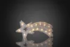 LED-Holografie-Komet Produktbild-Vorschau 1