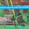 PlantClips spony na rastliny sada spôn na rastliny, Náhľad obrázku produktu 4