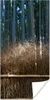 MuchoWow® Poster Arashiyama-Bambusbäume in einem Wald Japan Produktbild-Vorschau 1