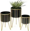 Three black planters with gold wire frames and legs, one containing a green fern, are arranged on a white background. Podgląd zdjęcia produktu