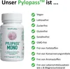SinoPlaSan Pylopass Mono Kapseln, 60 St. Kapseln Produktbild-Vorschau 4