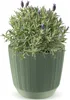 Doniczka Osłonka Domowa 19,5 Cm Ryfo Na Stół Parapet Do Podgląd zdjęcia produktu 8