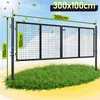 Izrielar Doppelflügel Gartentor  Anthrazit, 300 x 100 cm Produktbild-Vorschau 2