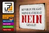 Holzschild Spruch 30x20cm meine Katze hat nein gesagt Produktbild-Vorschau 3