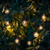 Lumisky Party Clear 20 svetelných pásov 8,7 m 20 LED Náhľad obrázku produktu 3