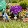 Bienen Tränke 4er Set, Insekten Trinkstelle für Garten & Produktbild-Vorschau 4