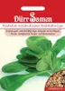 Roszponka holenderska szerokolistna Podgląd zdjęcia produktu 3
