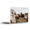 MuchoWow® Laptop Aufkleber Sticker Cover Tiere - Pferd Produktbild-Vorschau 1