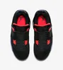 Nike Air Jordan 4 Retro NRG "Raptors", AQ3816-065, rozmiar: Podgląd zdjęcia produktu 3