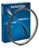Dayco Zahnriemen Für Ford 1,0 Ecoboost 46Z 12- Produktbild-Vorschau 2