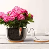 Arroseur pour plantes Blumat (1 pc) Voir les images du produit 4