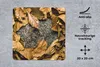 MuchoWow® Mauspad Mousepad Igel - Braun - Blätter 20x20 cm Produktbild-Vorschau 2