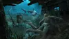 Spiel Assassin's Creed 4 Black Flag /HITS/ (PS4) Produktbild-Vorschau 8
