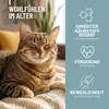 REAVET Senior Complete Pulver für ältere Katzen, reicht 3 Produktbild-Vorschau 2