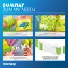 Bestway Puddle Jumper Turtle | Zelená | 15–30 kg Náhľad obrázku produktu 11