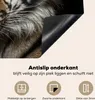 KitchenYeah© Herdabdeckplatte Tiger - Wilde Tiere - Porträt Produktbild-Vorschau 4