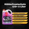 Exklusiv Chemie Kühlerfrostschutz G13  bis -40° - 5 Liter - Produktbild-Vorschau 6