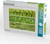 Calvendo Natural Trios - Grüne Blätter 1000 Teile Puzzle Produktbild-Vorschau 1