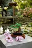 LEGO® Botanicals 10281 Bonsaiboom Productafbeelding-voorbeeld 22