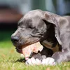 1kg Schecker - Schweineohren -  Hundeohren Produktbild-Vorschau 4