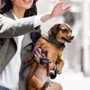 Reflektierendes Haustierhalsband für Katzen und Hunde mit Produktbild-Vorschau 9