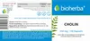 Bioherba Cholin 350 mg 100 Kapseln Produktbild-Vorschau 2