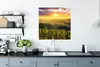 MuchoWow® Poster Toskana - Italien - Weinreben 75x75 cm - Produktbild-Vorschau 4