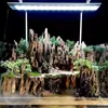 Aquarium Deko Wurzel Dragon Wood S 15-25 cm, natürliche Produktbild-Vorschau 3