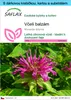 SAFLAX Dárková sada - včelí balzám - Monarda didyma - 20 Náhled obrázku produktu 1