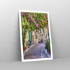 Poster - Poster ohne Rahmen - Straße dekoration blumen Produktbild-Vorschau 7