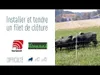 horizont Schafnetz - turbomax high Energy - Weidenetz Schaf Produktbild-Vorschau 3