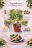 Ficus carica Bornholms Busch 50–70 cm – Winterharte Feige, Produktbild-Vorschau 2